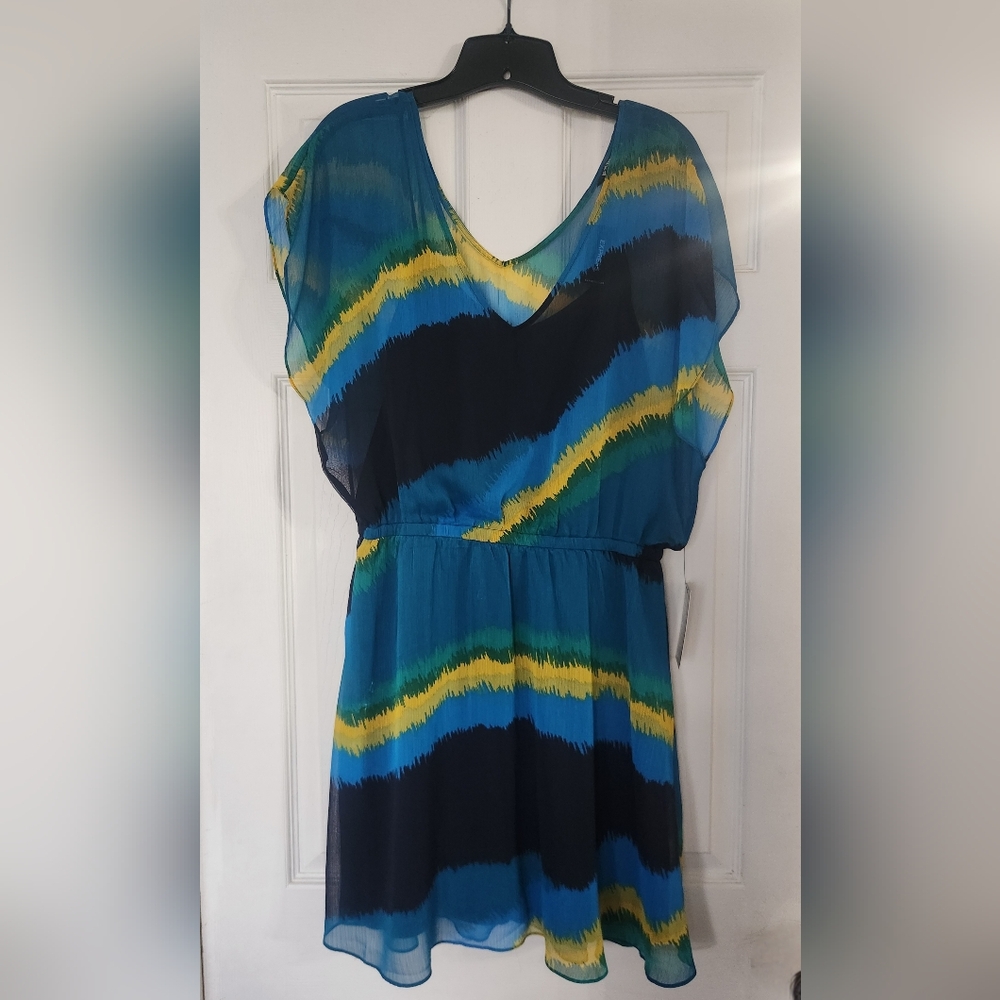 Express Multicolor Striped Dress